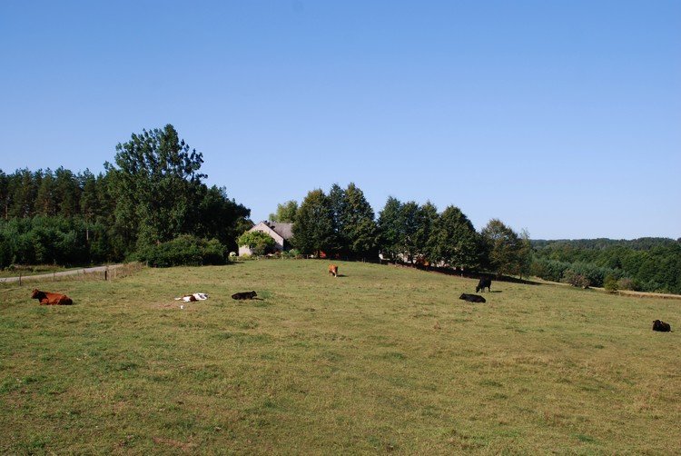 DSC_8082.JPG
