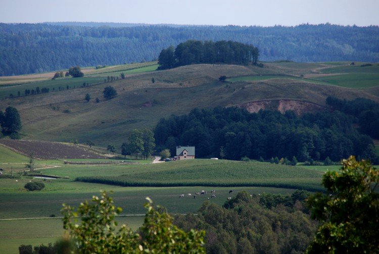 DSC_8244.JPG