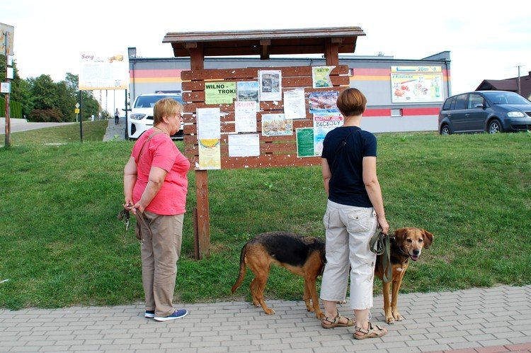 Jakie imprezy w mieście ?