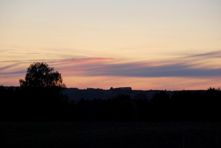 DSC_8178.JPG