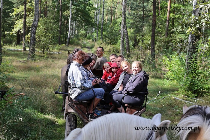 Radość na pierwszym wozie.