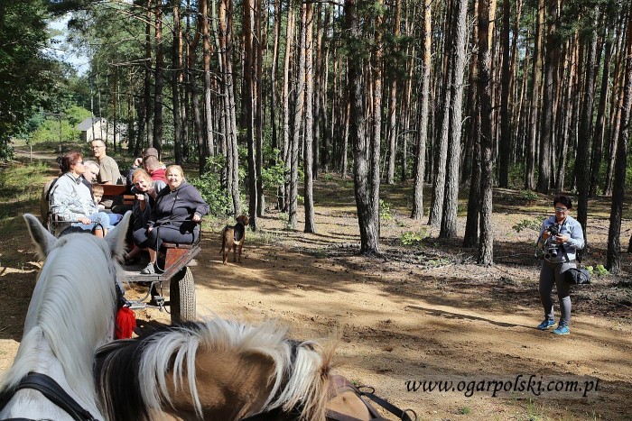 Fotografów