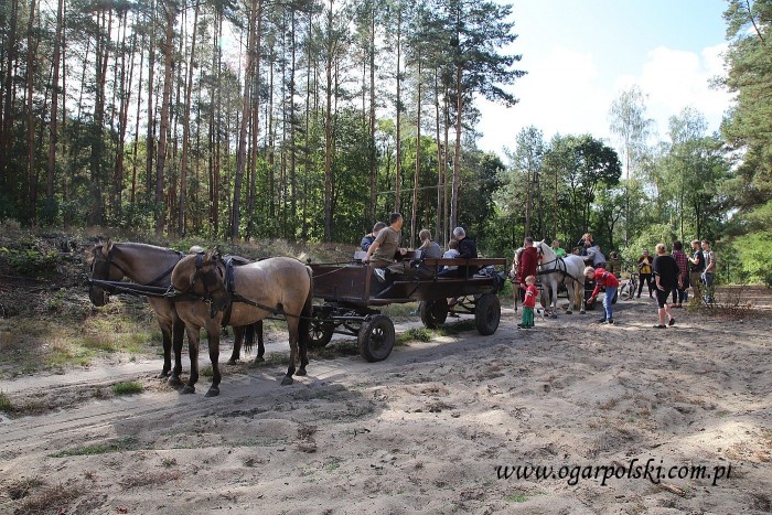Resort ładuje się na wozy - koniec oglądania.