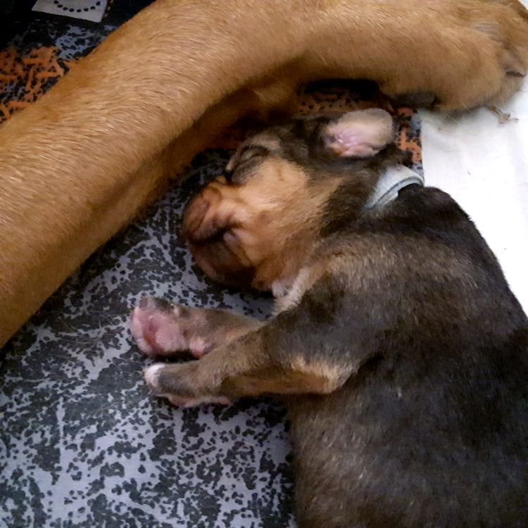 20190916_120738.jpg
