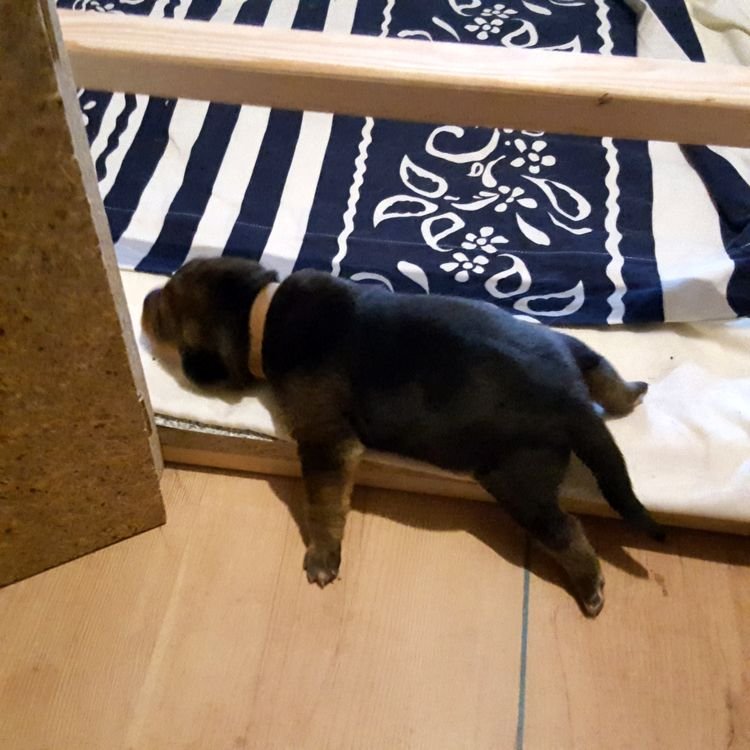 20190917_085107.jpg