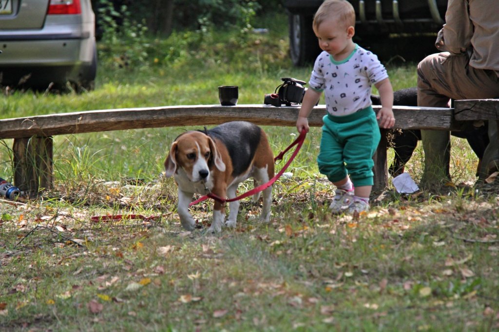 IMG_7953m.JPG