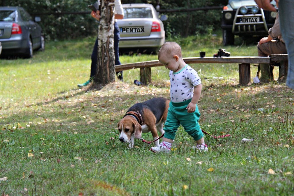 IMG_7956m.JPG