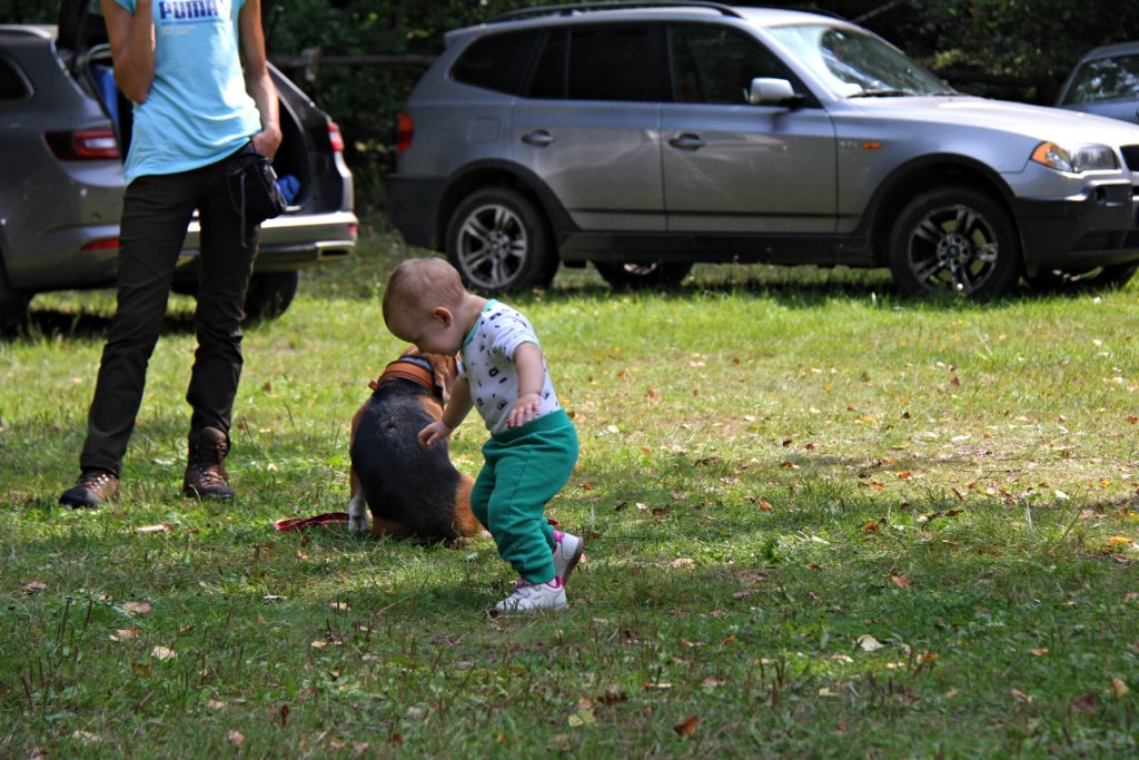 IMG_7971m.JPG
