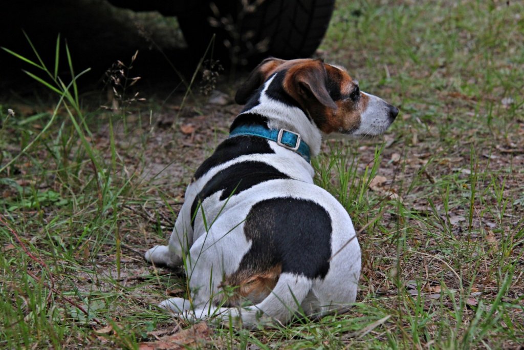 IMG_8024m.JPG