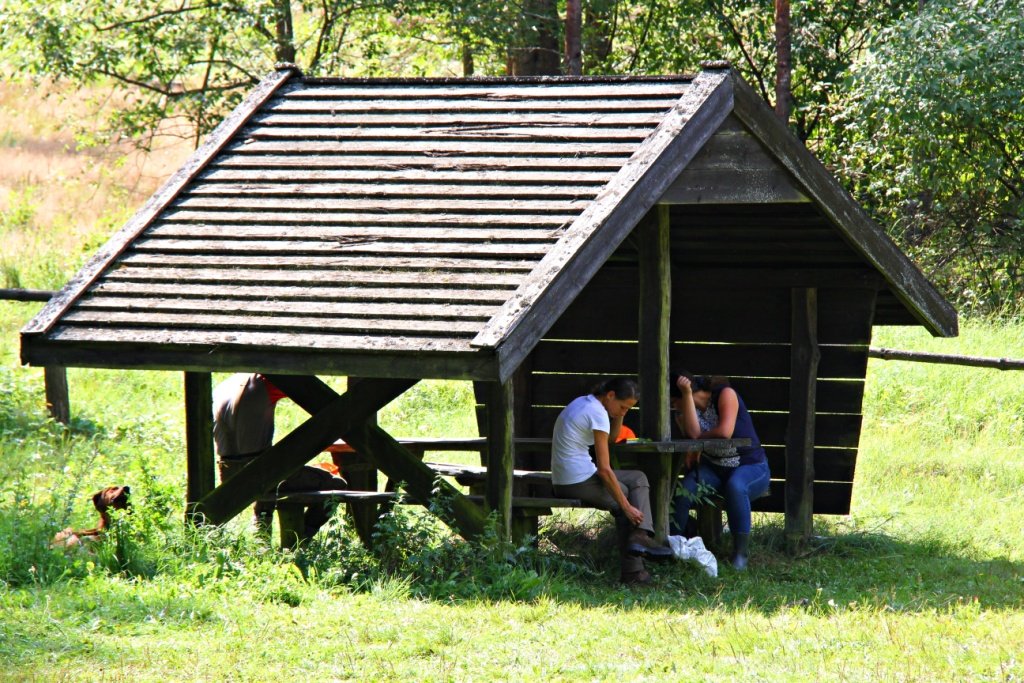 IMG_8066m.JPG