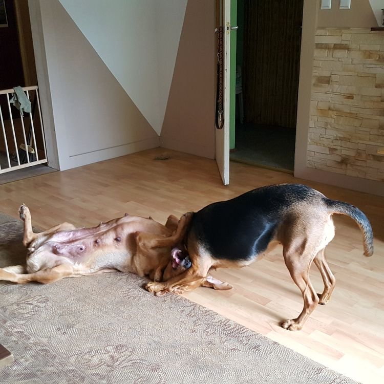 20190929_093121.jpg