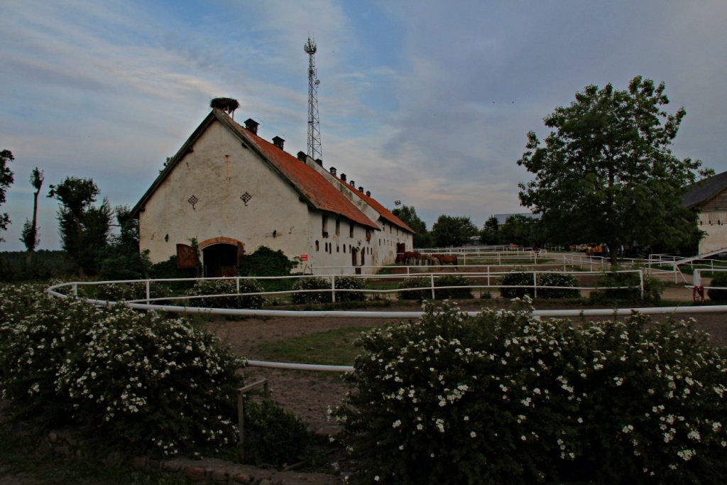 IMG_8071m.JPG