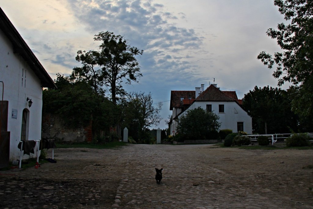 IMG_8101m.JPG