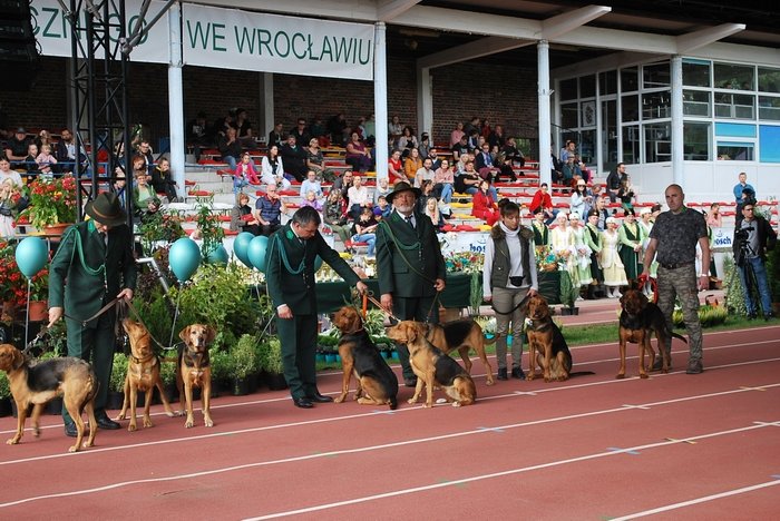 OGARY POLSKIE