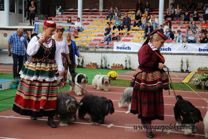 małe-IMG_6251.jpg