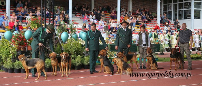 małe-IMG_6286.jpg