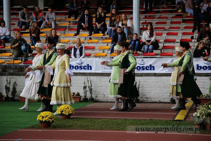 małe-IMG_6320.jpg