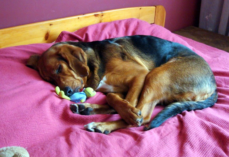DSC09185_resize.JPG