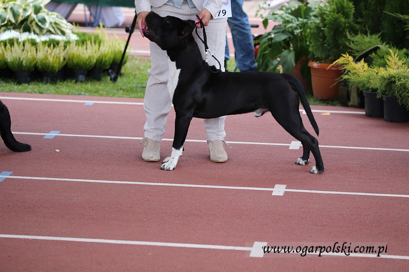 małe-IMG_6478.jpg