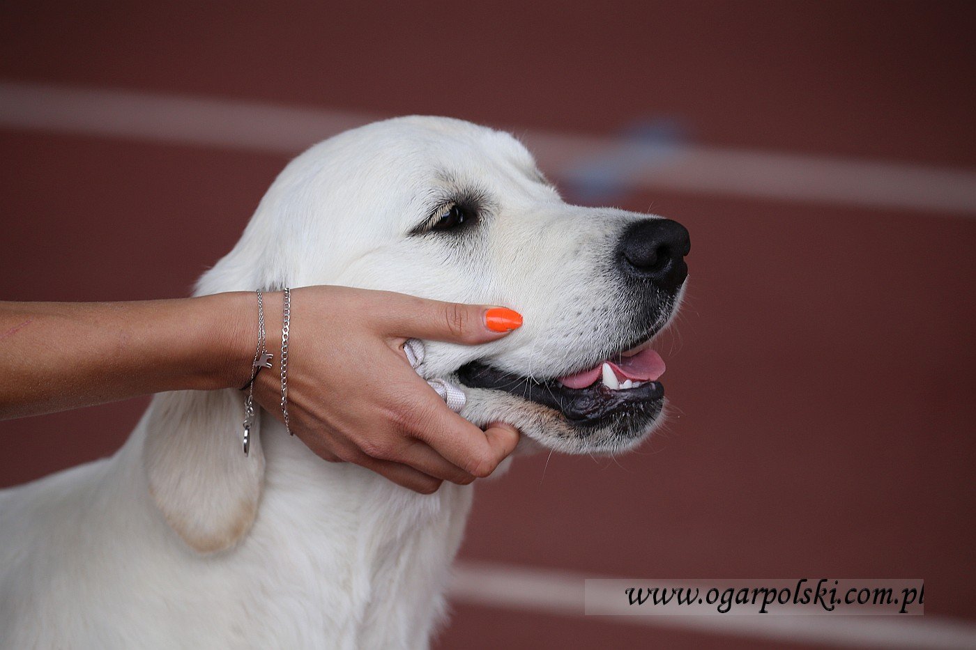 małe-IMG_6485.jpg
