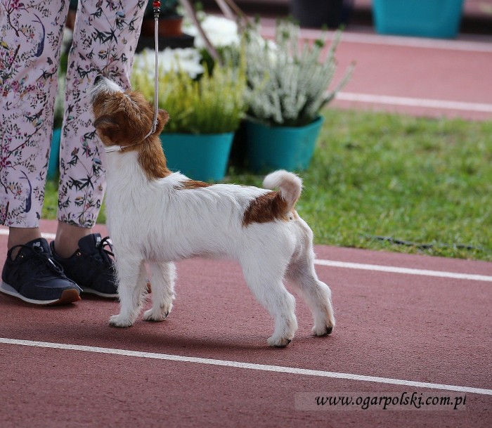 małe-IMG_6525.jpg