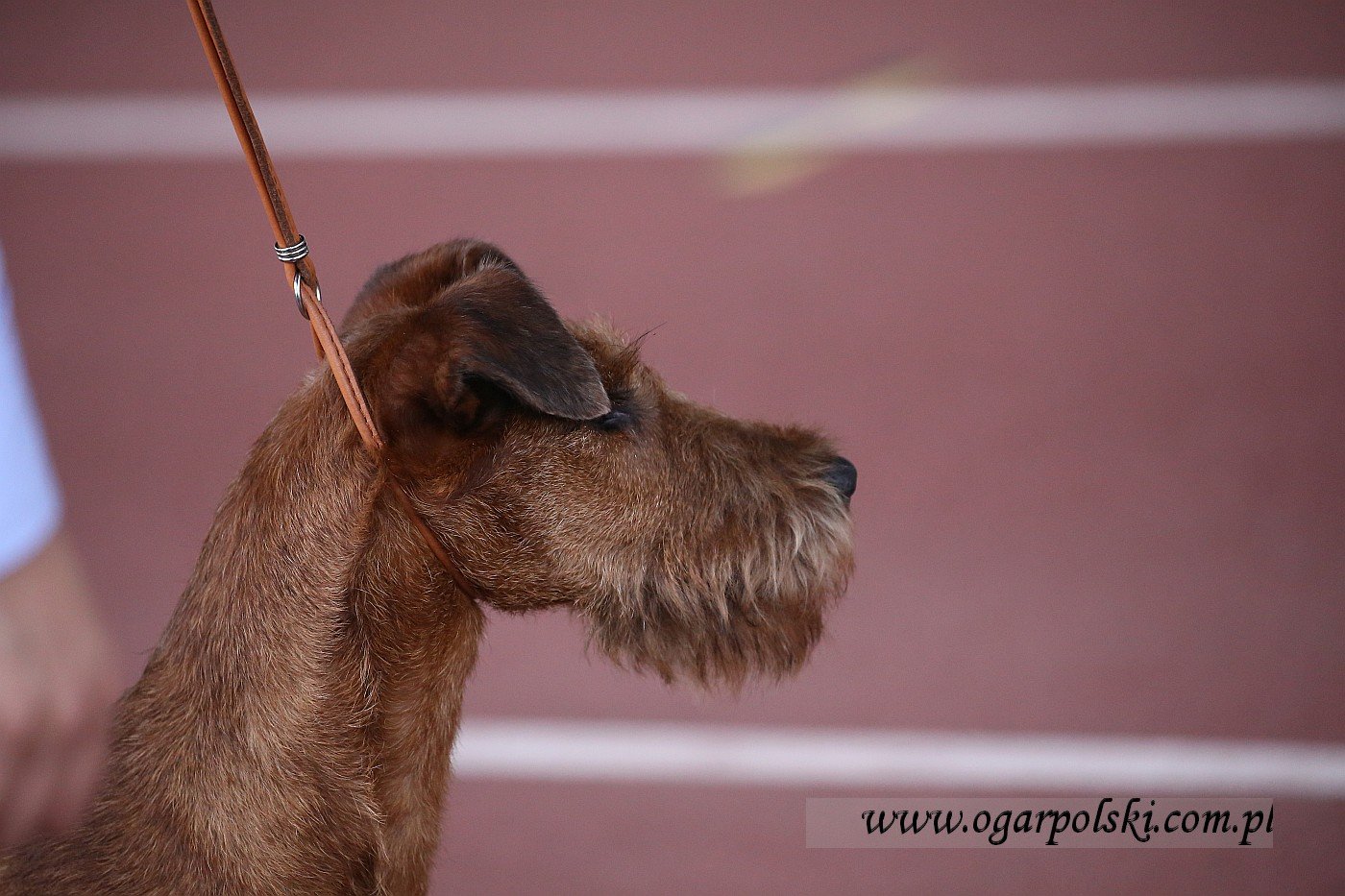 małe-IMG_6555.jpg
