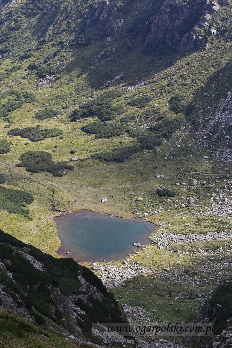 Jeziorko pod Pietrosul.