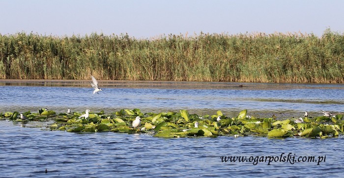 małe-IMG_4918.jpg