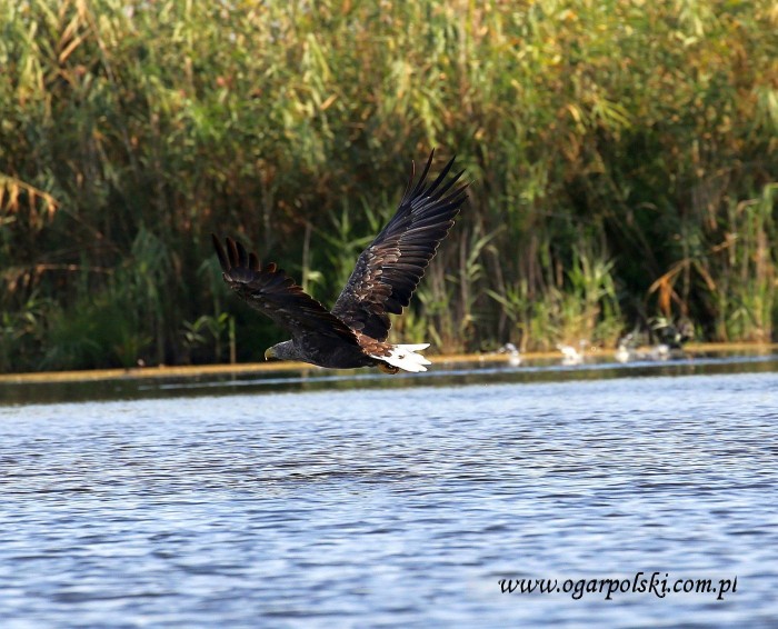 małe-IMG_5059.jpg