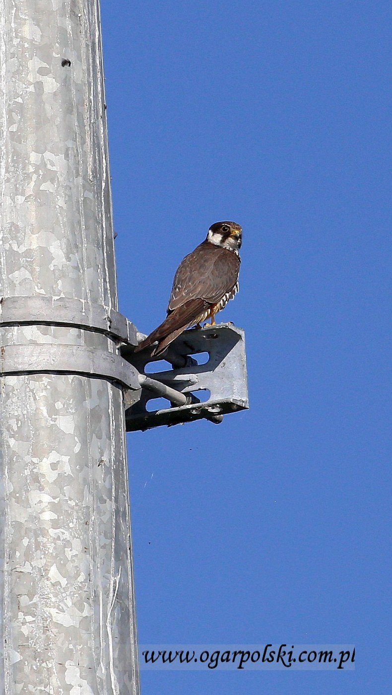 małe-IMG_5067.jpg
