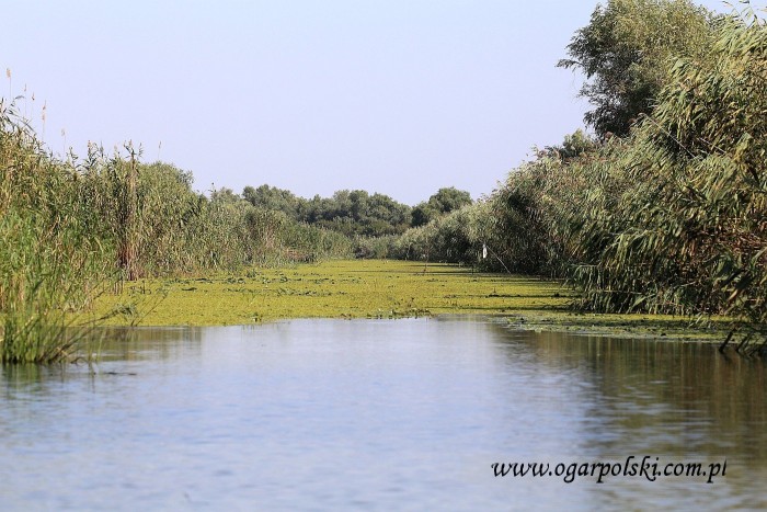 małe-IMG_5130.jpg