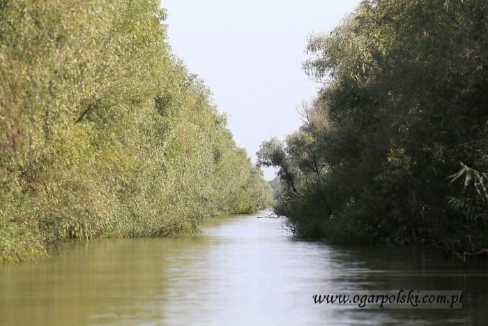 małe-IMG_5133.jpg