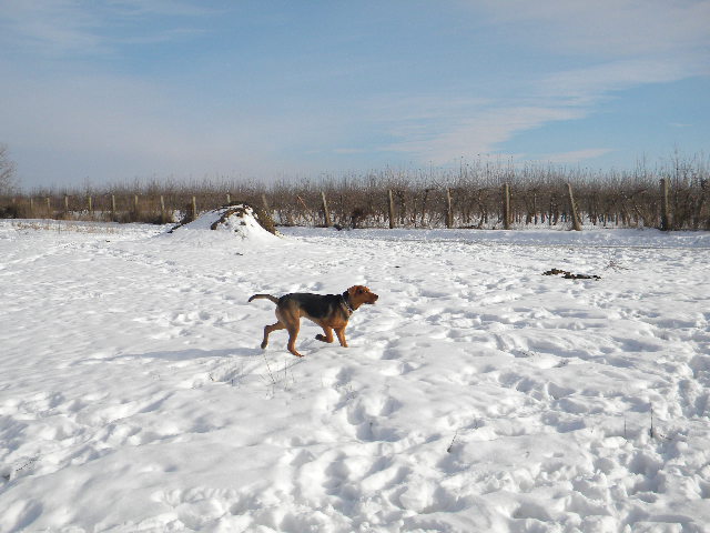 DSCN5149.JPG