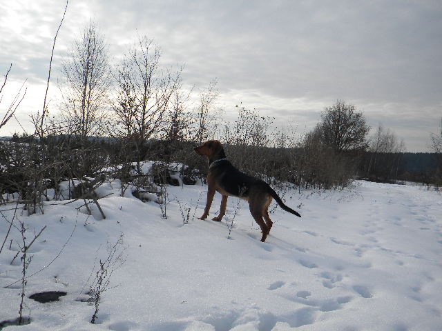 DSCN5154.JPG