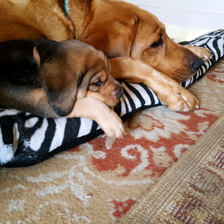 20191005_113710.jpg