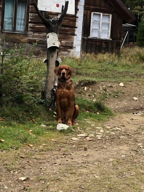 ILE JESZCZE MAM TU SIEDZIEC...jpg