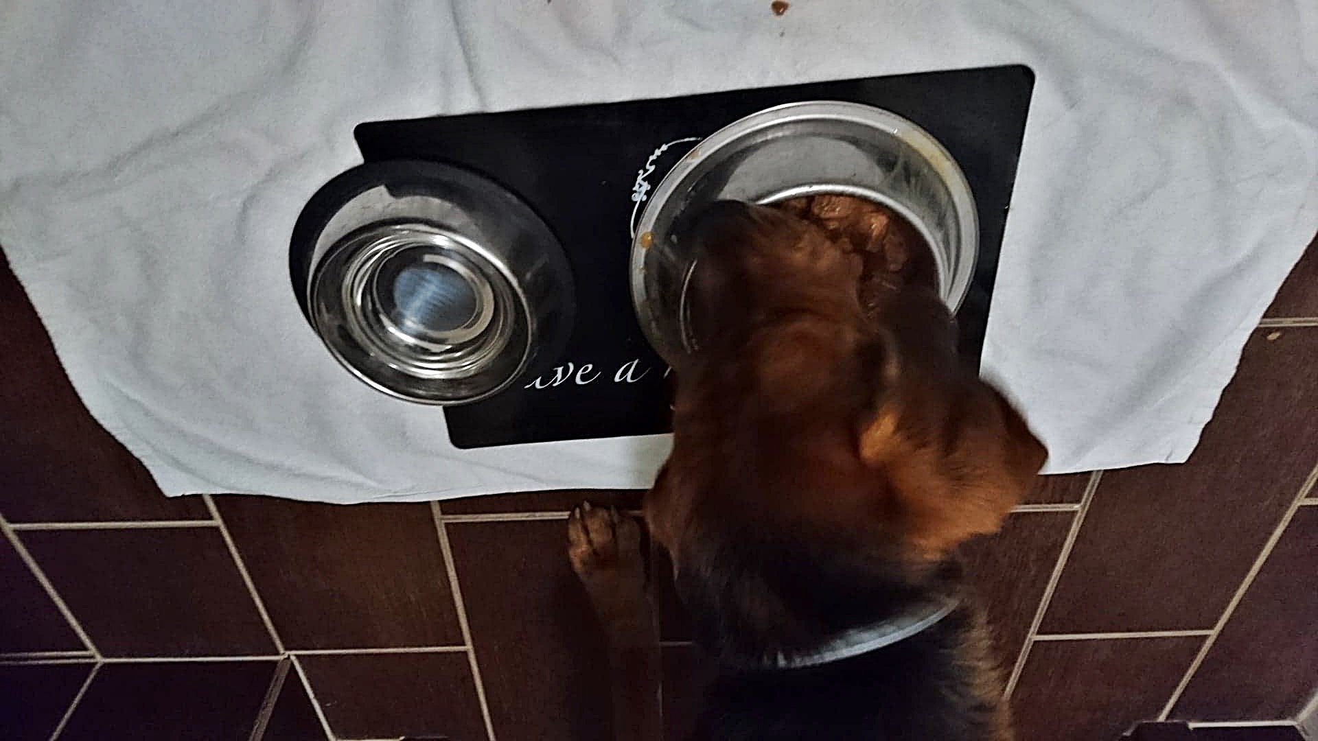 O właśnie tak!