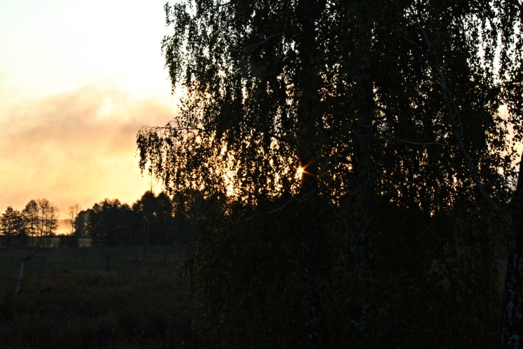 IMG_8426m.JPG