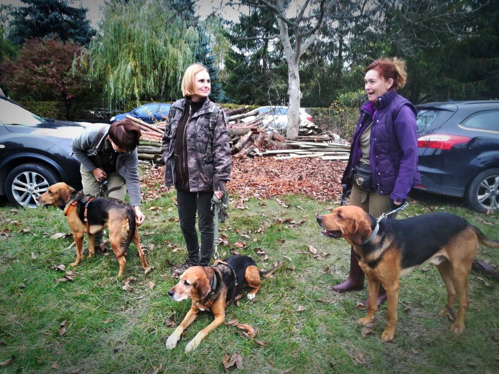 Ania z Otawą, Anka z Łozą, Ja i Ford