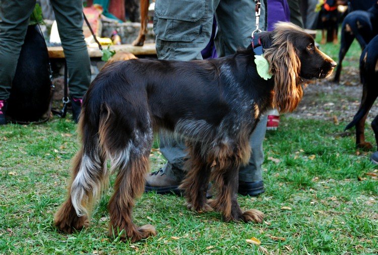 DSC_8691.JPG