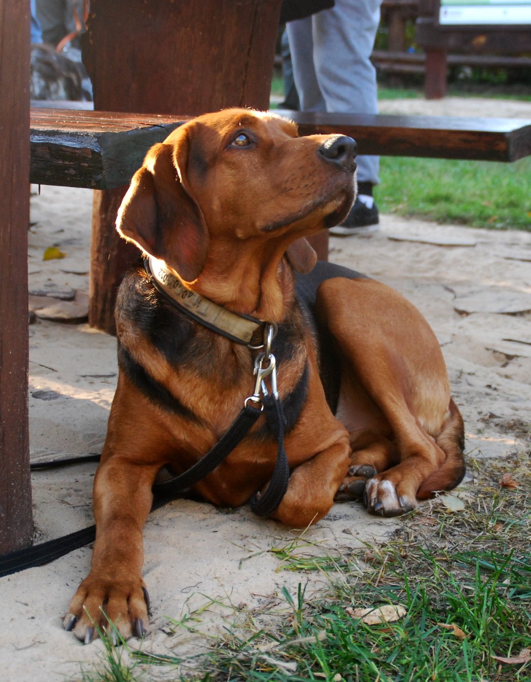 DSC_8721.JPG