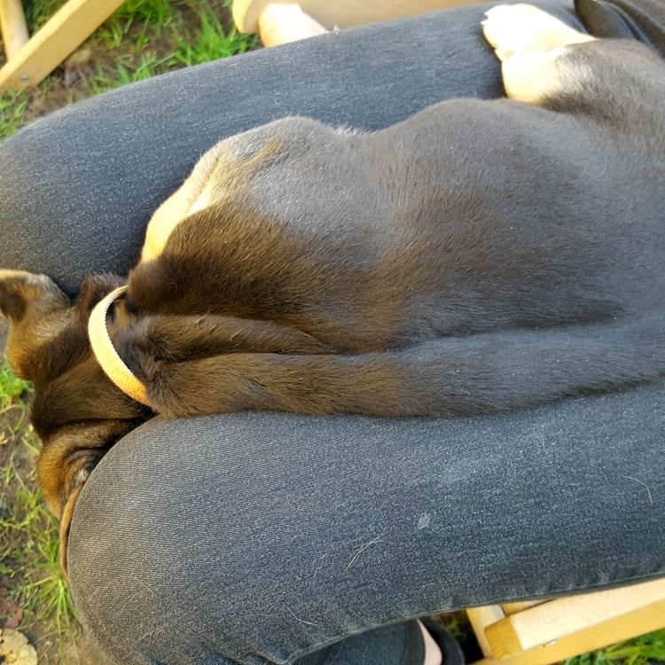 20191013_145304.jpg
