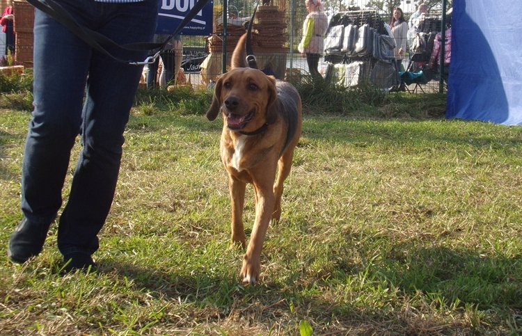 100_1255.JPG
