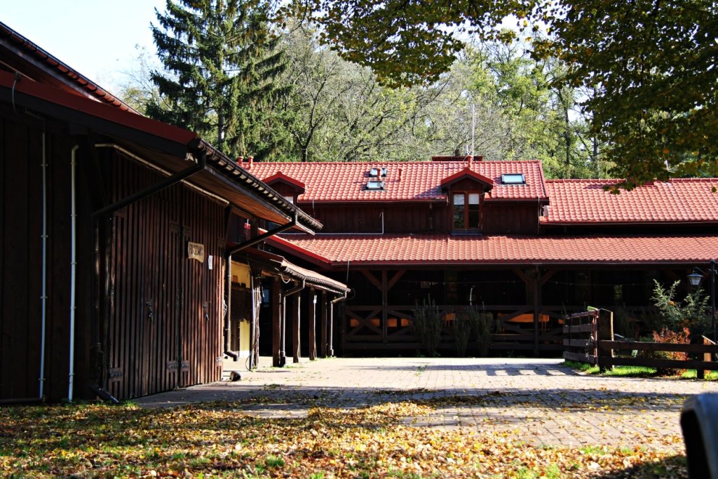 IMG_8615m.JPG