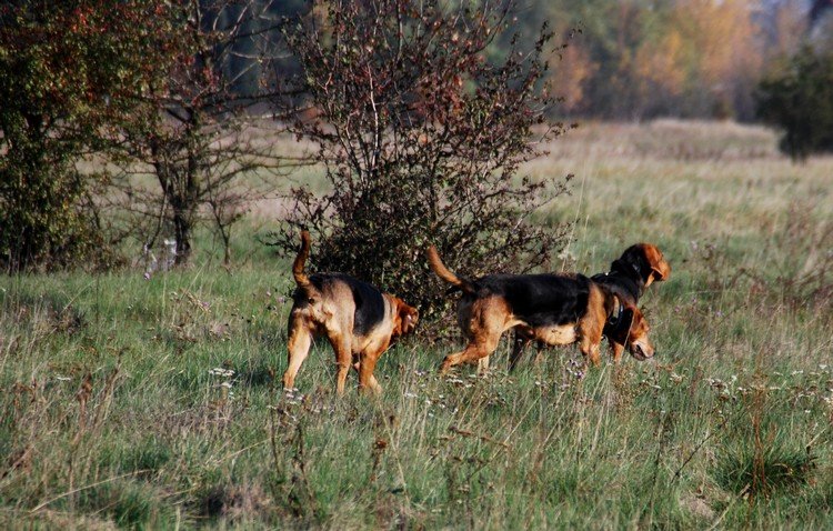 DSC_8819.JPG