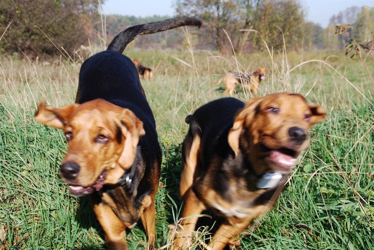 Aparat nie nadążał a fotograf był w niebezpieczeństwie.