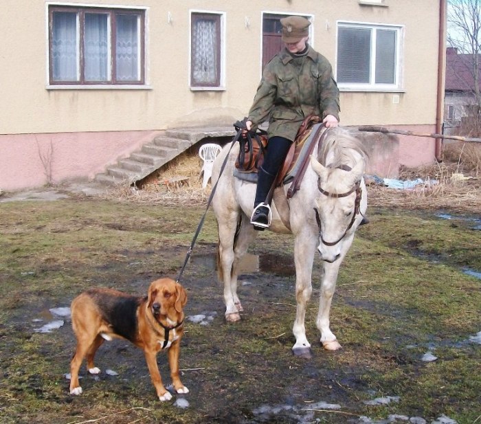 Łycar 051.jpg