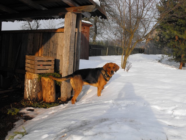 DSCF5046.JPG