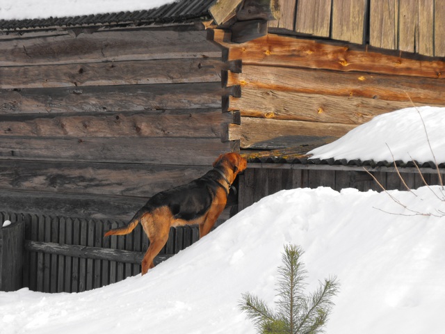 DSCF5054.JPG