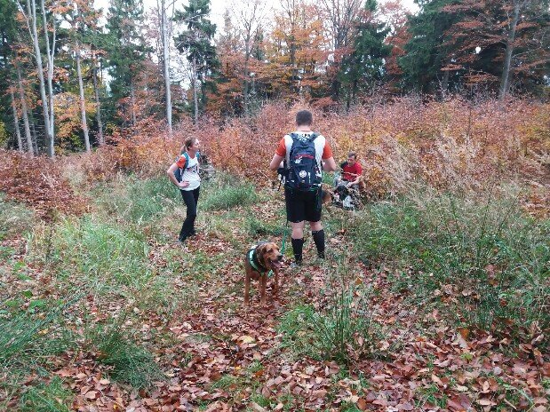 20191019_114956-619x464.jpg
